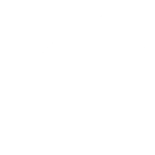 Bold Spider Graphic